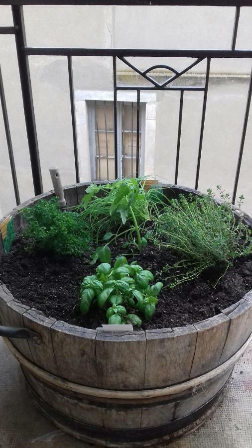 Gite Au Coeur De Volnay Beaune  Eksteriør bilde